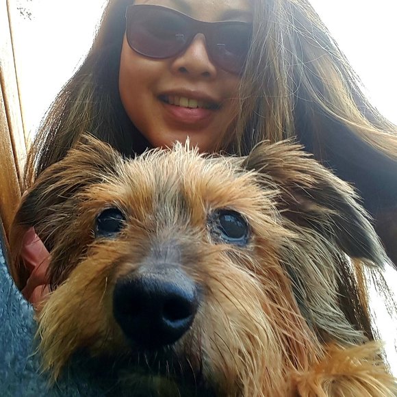 Meet your Posher, Beatrice - Picture 7 of 12